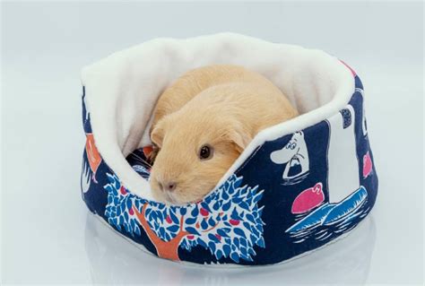 diy bedding for guinea pigs|suitable bedding for guinea pigs.